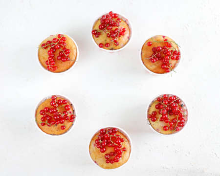 Homemade red currant muffins on white concrete background,space for copy or text