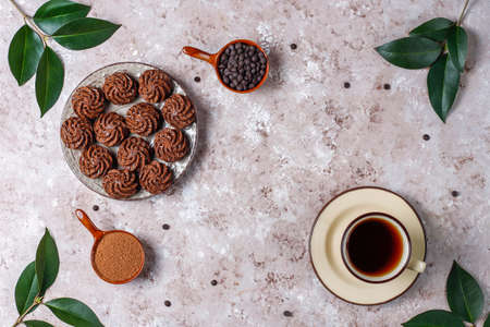Mini cakes truffles with chocolate drops and cocoa powder,top view