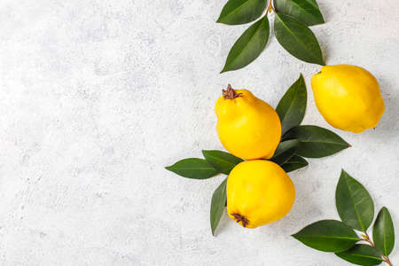 Fresh organic ripe quince fruits,top viewの写真素材