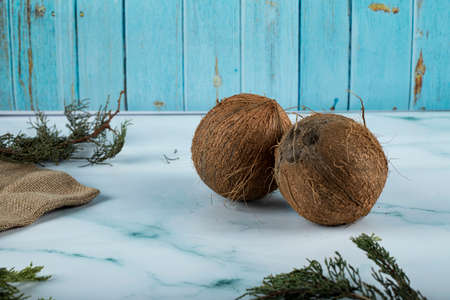 Brown coconut fruit isolated on blue background