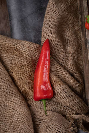 A single red chili peppers on a burlap.の写真素材