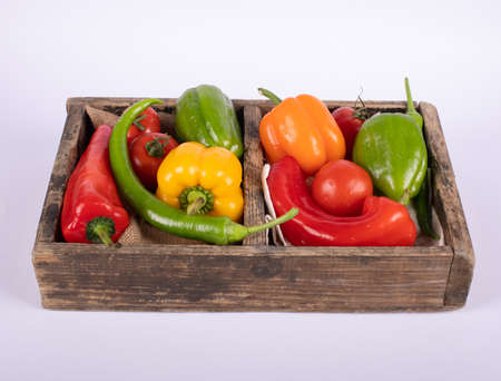 Color peppers tray in white backgroundの写真素材