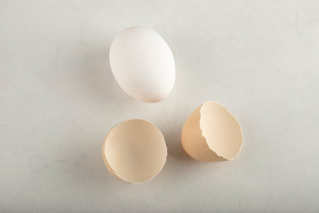 One whole white chicken egg with eggshell