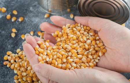 Hand holding a heap of uncooked popcorn seeds on a marble backgroundの写真素材
