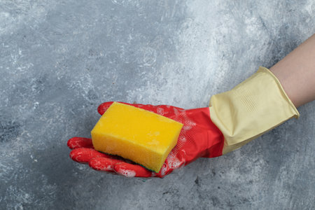 Hands in red protective gloves holding spongeの写真素材