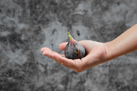 Hand holding a purple fig on a marble backgroundの写真素材