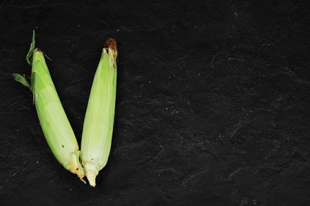 Two ears of fresh corns on black backgroundの写真素材
