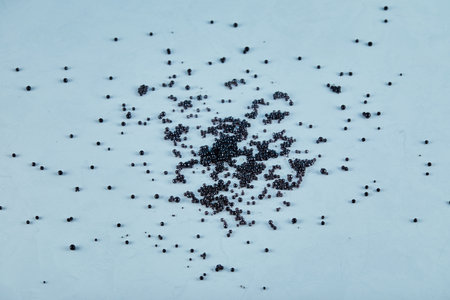 Black caviar scattered on the blue tableの写真素材