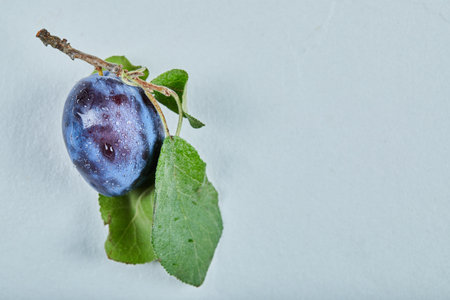 Fresh plum with leaf isolated on a blue background