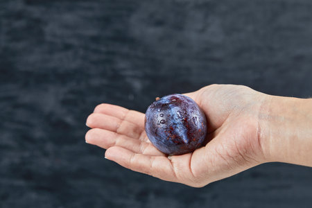 Hand holding a fresh plum on a black backgroundの写真素材