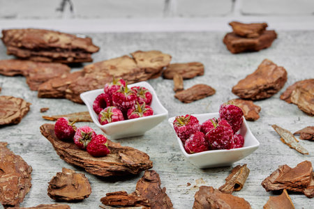 Two white bowl of fresh raspberries with wood pieces on gray backgroundの写真素材