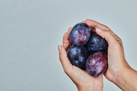 Hand holding fresh plums on a gray backgroundの写真素材