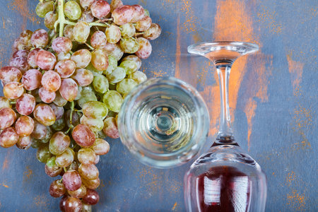 Bunch of grapes and glasses of wine on blue backgroundの写真素材