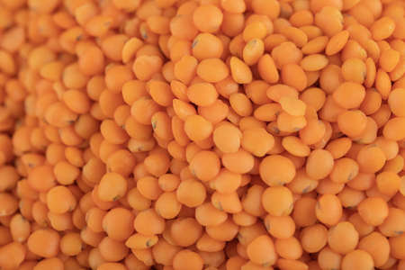 Pile of red uncooked lentils as a backgroundの写真素材
