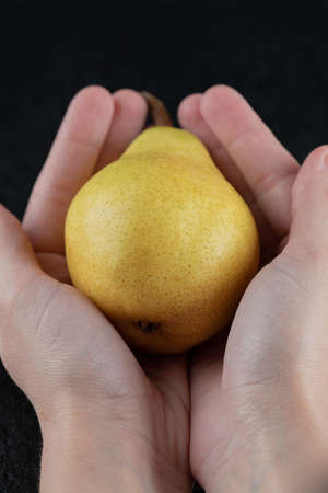 A person holding a yellow pear in both palmsの写真素材