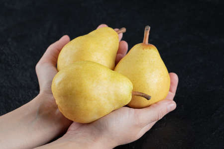 A farmer holding yellow pears inside his palms