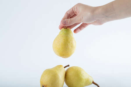 Woman hands holding pear on white backgroundの写真素材