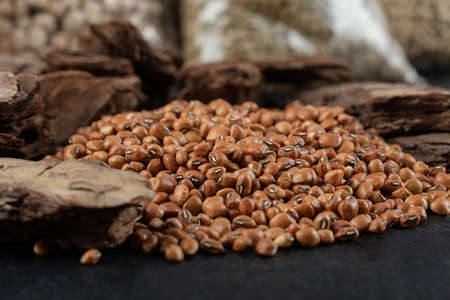 Brown kidney beans isolated on a dark backgroundの写真素材