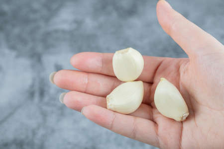 Hand holding garlic on a gray backgroundの写真素材