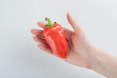 Female hand holding red pepper on gray backgroundの写真素材
