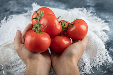 Man hands holding a bunch of tomato on a colorful backgroundの写真素材
