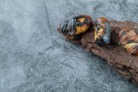 Delicious fried chestnuts on a tree bark. High quality photoの写真素材