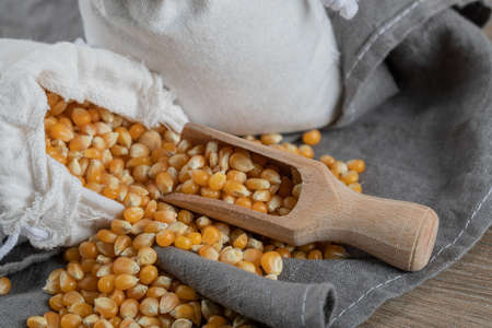 A white sack full of corn grains on a gray background