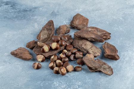 Delicious healthy chestnuts on a tree bark