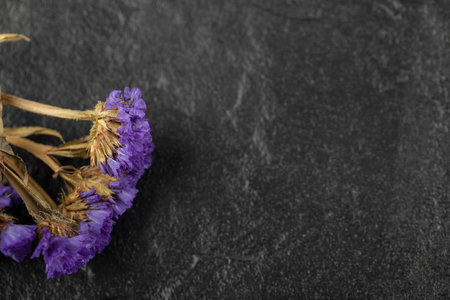 Dried purple flowers on a black backgroundの写真素材