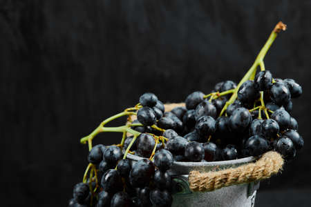 A cluster of black grapes in bucket on dark backgroundの写真素材