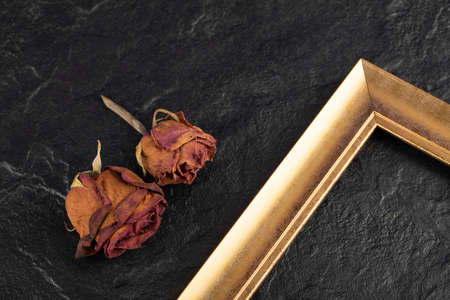 Dried roses with frame on a black backgroundの写真素材