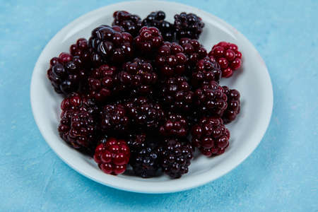 A bowl of blackberries on the blue backgroundの写真素材