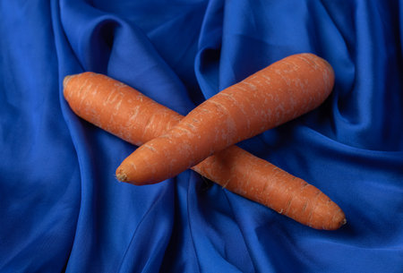 Two fresh carrots on blue backgroundの写真素材