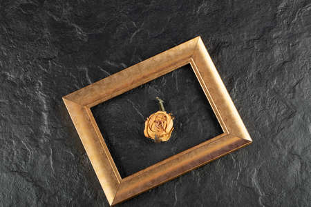 Dried rose with frame on a black backgroundの写真素材