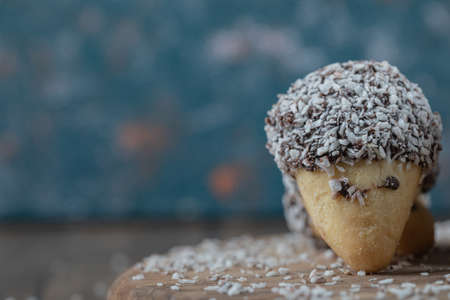 Homemade hedgehog cookies with chocolate cream and coconut powderの写真素材