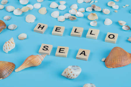 Hello sea quote on blue background with sea shells aroundの写真素材