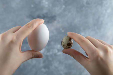 Female hand holding two eggs on grey background. Quail and Chickenの写真素材