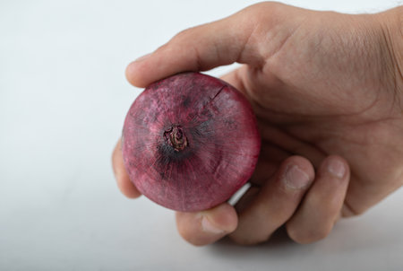 Male hand holding red ripe onion on white backgroundの写真素材