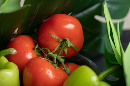 Close up photo of fresh ripe tomatoes and peppersの写真素材