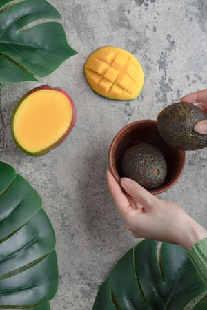 Female hands picking ripe avocados from bowl on marble surfaceの写真素材