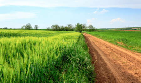 Dirt roadの写真素材