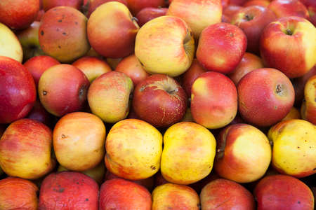 real organic apples in pile at market stallの写真素材