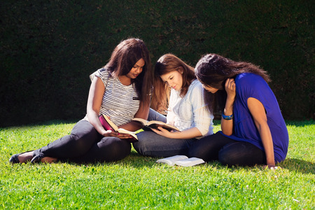 Three Friends Studying Together for their exams in Natureの写真素材