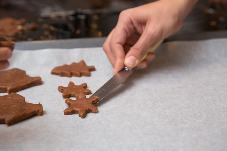 Different Biscuit Shapes On Baking Sheet Ready For The Ovenの写真素材
