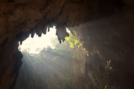 Sun rays are entering into the caves of Batu Caves illuminating the green plants around