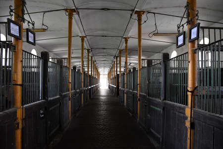 A traditional hungarian, old style covered horse barn interior view with yellow columns, brown...