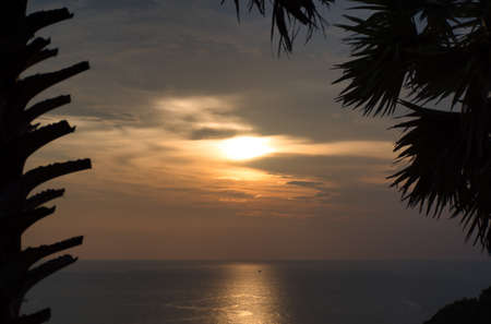 Beautiful stunning scenic panoramic view of the golden sky and reflections on the Andaman sea with palm trees during the sunset at Promthep Cape landmark viewpoint in Phuket, Thailandの写真素材