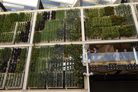 Innovative vertical cultivations at EXPO in Milan, installed on the external wall of United States Pavillon. Picture taken at the end of august 2015.のeditorial素材