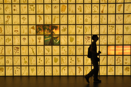 A collection of many plant at EXPO inside Russian Pavillon, end of august 2015.のeditorial素材