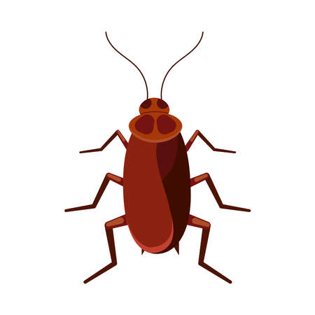 Cockroach vector icon isolated on white background. Brown roach bug logo symbol. Flat design cartoon style beetle illustration.のイラスト素材